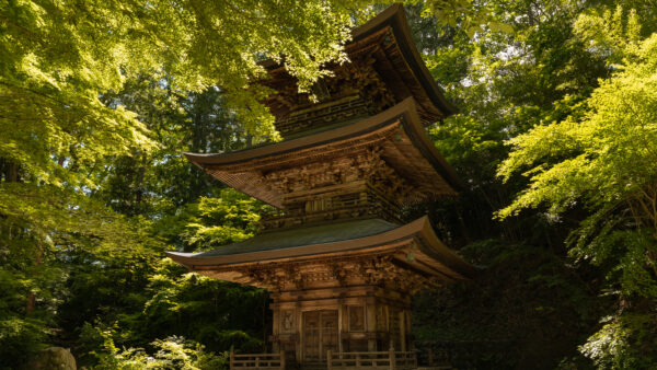 ホームページリニューアルのお知らせ