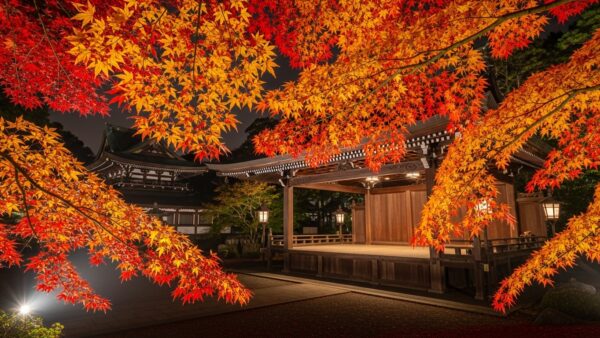 紅葉ライトアップライブ開催